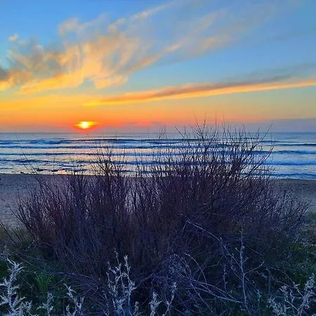 Cap Sud: Terrasse; Clim; Centre Port Du Cap D'agde Апартаменты *